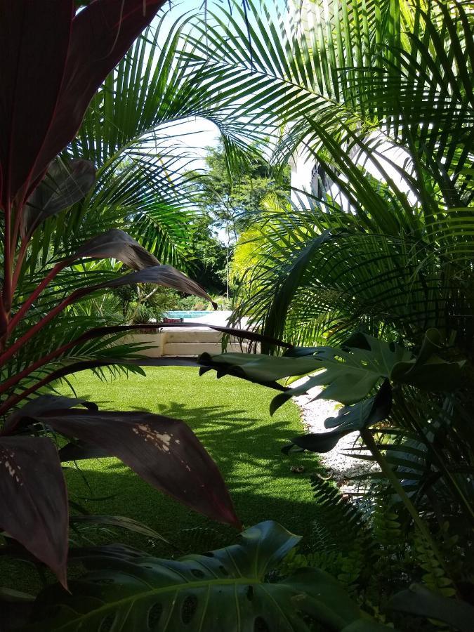 Palm Beach Inn ปลายา กรานเด ภายนอก รูปภาพ